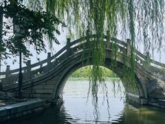 -济南大明湖景区