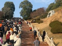 -庐山风景名胜区-东林大佛