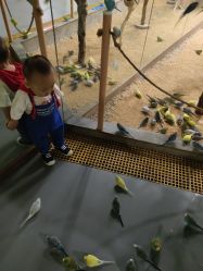 -七巧国萌宠乐园(龙湖天街店)