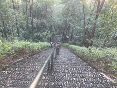 -神光山国家森林公园