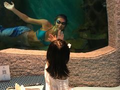 -瑞德姆美人鱼海底演艺主题餐厅(亚龙湾店)