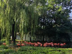 -石家庄市动物园