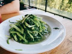清炒空心菜-吴越荣记苏州菜·松鼠桂鱼100%活鱼现做(斜塘老街店)