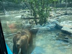 -北京野生动物园