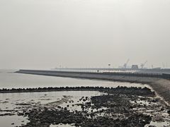 -南汇嘴观海公园