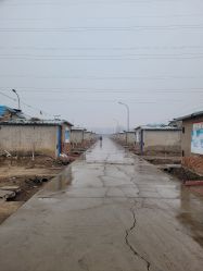 -蓝呗呗蓝莓草莓采摘园(通州区马驹桥店)