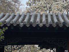 -趵突泉景区