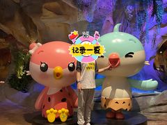 -杭州开元森泊度假乐园