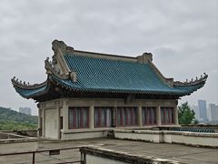 -武汉大学-樱园