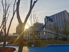 -后襄河公园