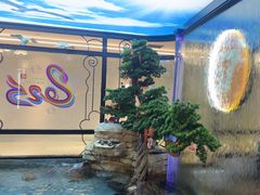 -57度湘(王府井10F店)