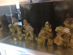 -网鱼网咖·电竞(中山友好广场店)