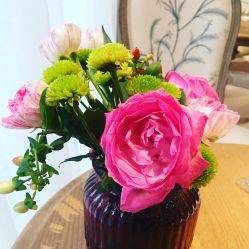 -海茱雅科技健康美容