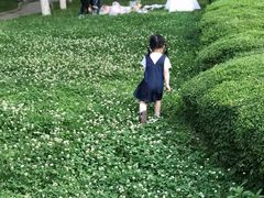 -木塔寺遗址生态公园