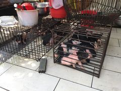 -黄记四更烤乳猪店