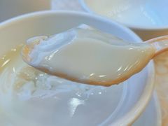 姜撞奶-顺德人家食府(黄金广场店)