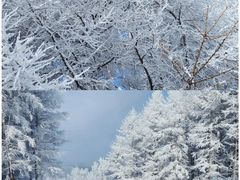 -富龙滑雪场