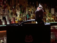 -鸡尾酒实验室酒吧(隆礼路店)