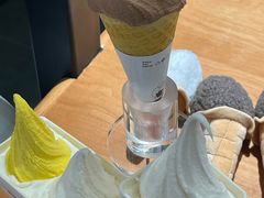 -野人先生Gelato(上海长宁龙之梦店)