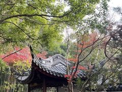 -汇龙潭