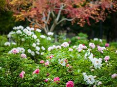 -江南大学(蠡湖校区)