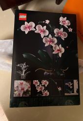 -乐高授权专卖店(华采天地店)