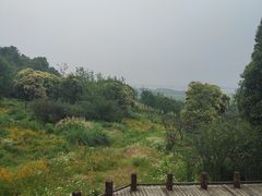 -习家池