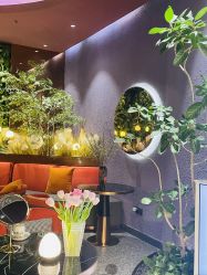 -花隐·美芙炫海菲秀皮肤管理中心