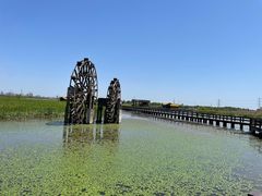 -宁波杭州湾国家湿地公园