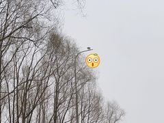 -长春世界雕塑园