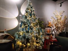 -咖法森林·咖啡  酒吧(天河店)