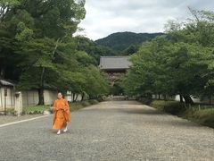 -醍醐寺
