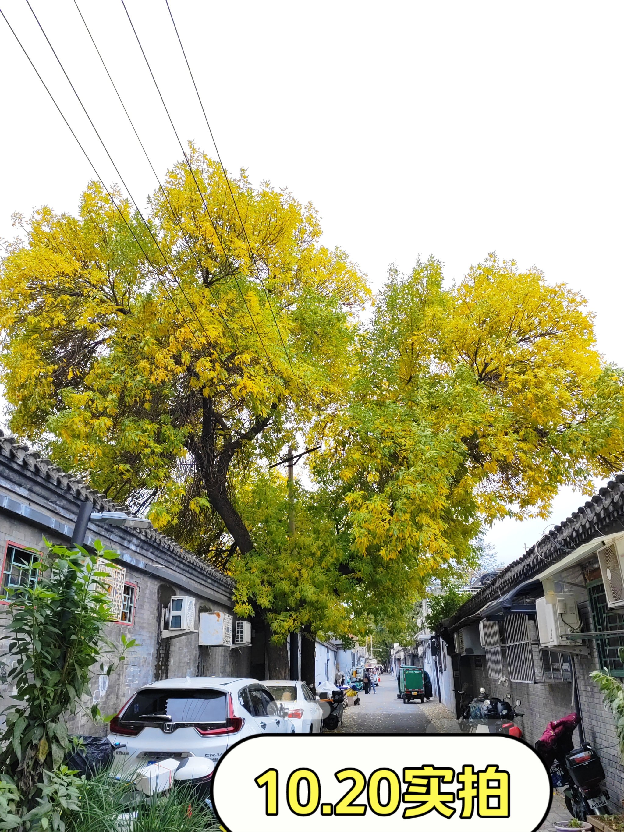 齐齐哈尔海山胡同吧图片