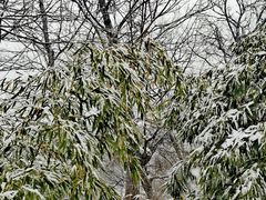 -终南山南五台景区