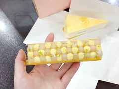 -蝶舍·MAISON PAPILLON