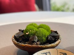 -子福慧(虹桥店)