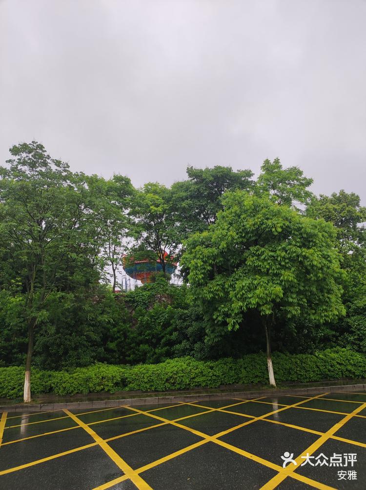 桐庐遛娃好去处桐庐青少年宫