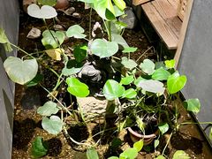 -邈墨茶馆(凤起路店)