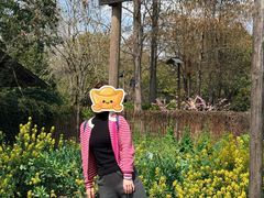 -乌村