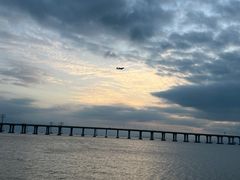 -宝安西湾红树林湿地公园