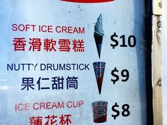 -富豪雪糕车流动点(尖沙咀店)