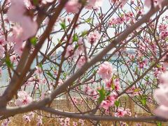 -阳澄湖半岛旅游度假区
