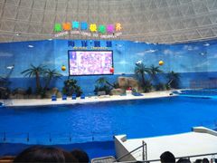 iphone_upload_pic-泉城欧乐堡海洋极地世界