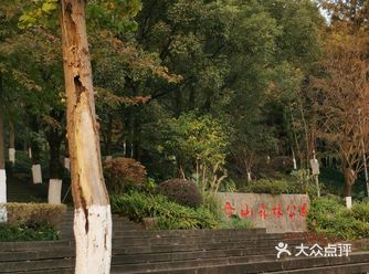 庆幸景区里头的人流量还好，各自分散，好多遛娃的