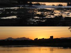 -绿堤公园