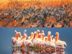 -罗红摄影艺术馆