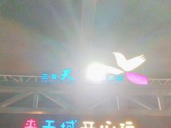 -渔家火锅·海鲜自助餐·演艺(亚龙湾天域酒店)