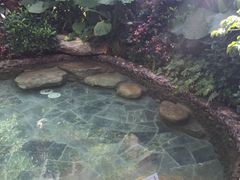 -稷泽·海丽宾雅温泉度假酒店