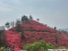 -木兰云雾山