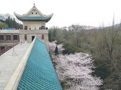 -武汉大学-樱园